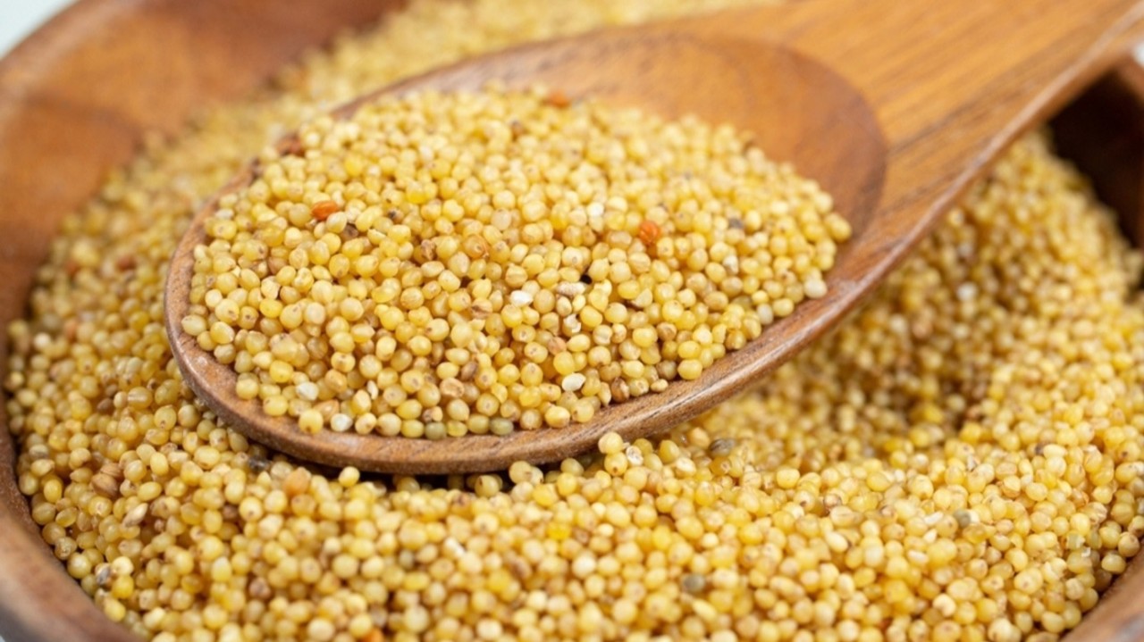 Foxtail Millet